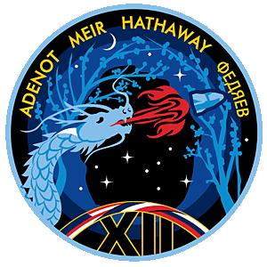 Crew-12 patch